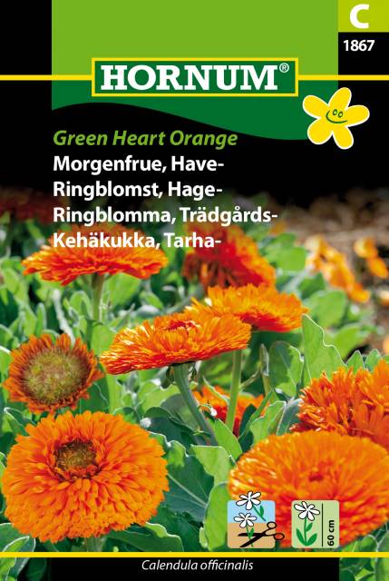 Ringblomma 'Green Heart Orange' frö
