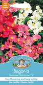 Begonia 'Summer Rainbow F2'