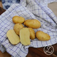Sättpotatis - Linzer Delikatess 1kg