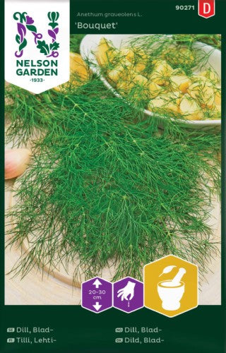 Dill 'Bouquet'