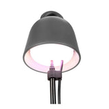 Leaf Light Care 7x7cm - Living Black