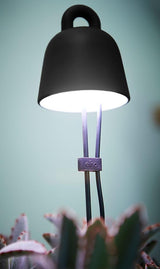 Leaf Light Care 7x7cm - Living Black