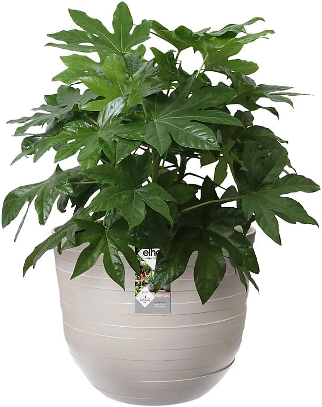 Utekruka 'Fuente Grains' Round D47 - Pebble Grey