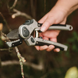 Eversharp Sekatör 'Hard Wood'