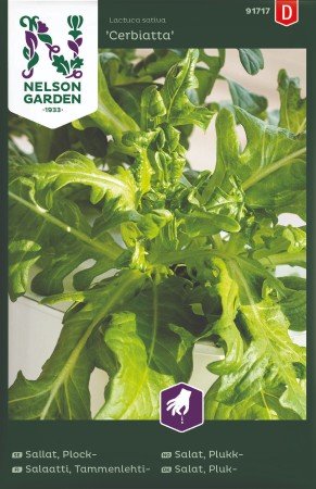 Plocksallat 'Cerbiatta'