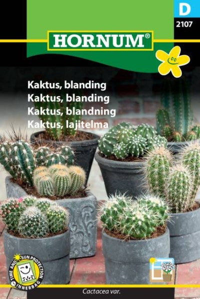 Kaktus Mix