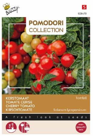 Körsbärstomat 'Tomfall'
