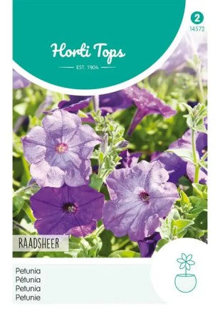 Petunia 'Raadsheer'