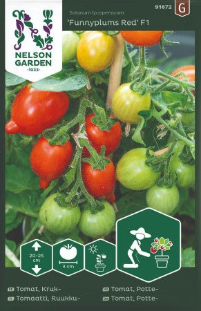 Kruktomat 'Funnyplums Red' F1