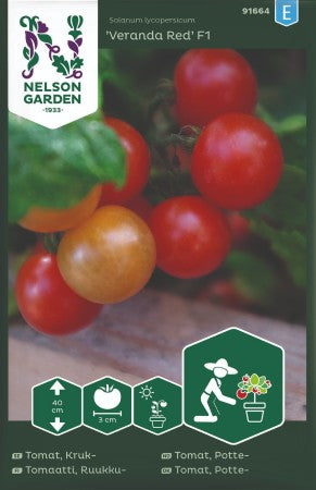 Kruktomat 'Veranda Red' F1