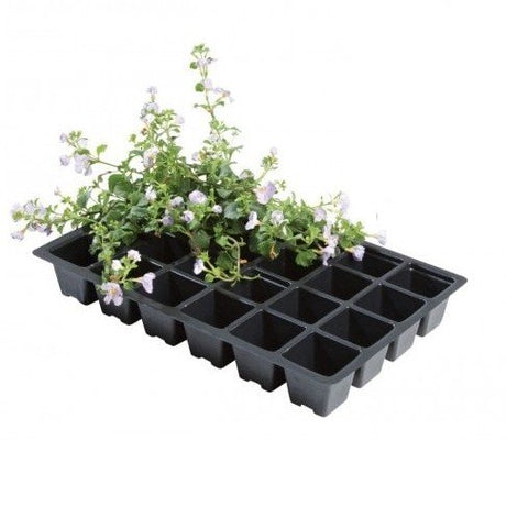 Professional Pluggbrätte 24 5-pack