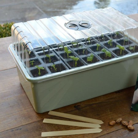 Miniväxthus 'Deep Root' 28 Celler
