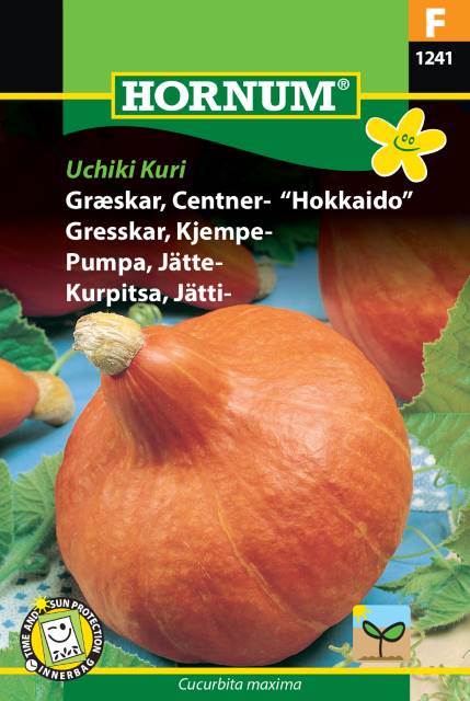 Jättepumpa 'Uchiki Kuri' frö