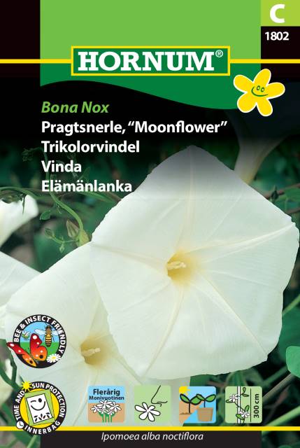 Månvinda 'Bona Nox' frö
