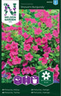 Hängpetunia 'Showers Burgundy' frö