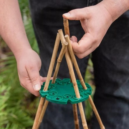 Växtstöd 'Wigwam' Grön 1st