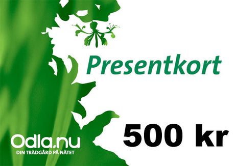 Presentkort 500