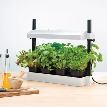 Växtbelysning 'Grow Light Garden' LED White