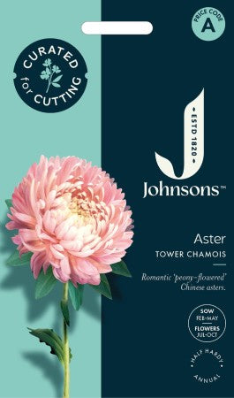 Sommaraster 'Peony Chamois'
