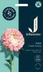 Sommaraster 'Peony Chamois'
