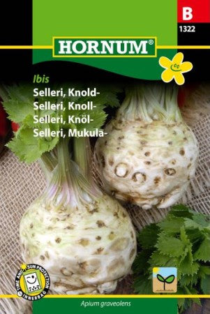 Selleri 'Ibis' frö