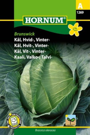 Vitkål 'Brunswick' frö