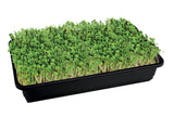 Odlingsmatta Jute 3-pack
