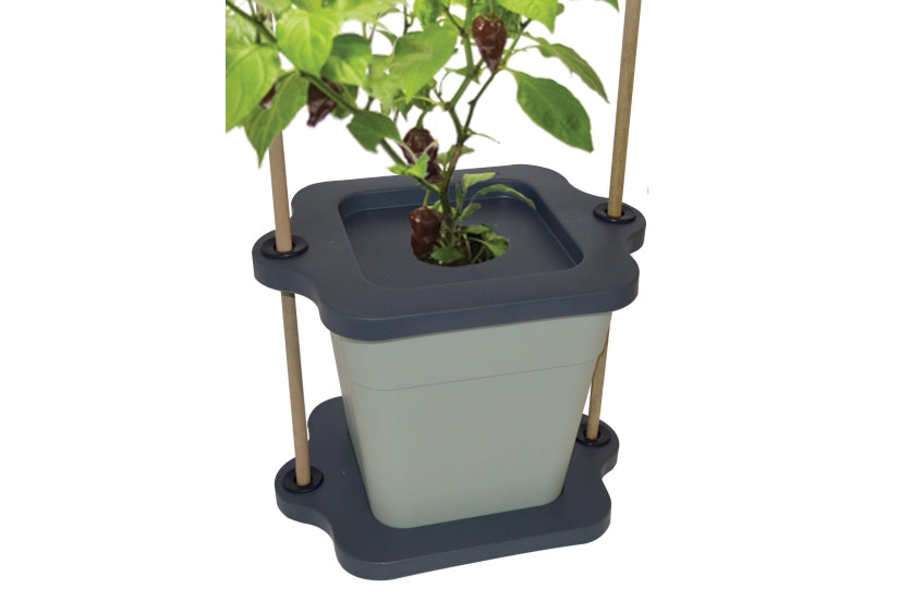 Odlingskruka 'Cane Grip' 2-pack