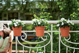 Green basics Easy Hanger S Mild Terra