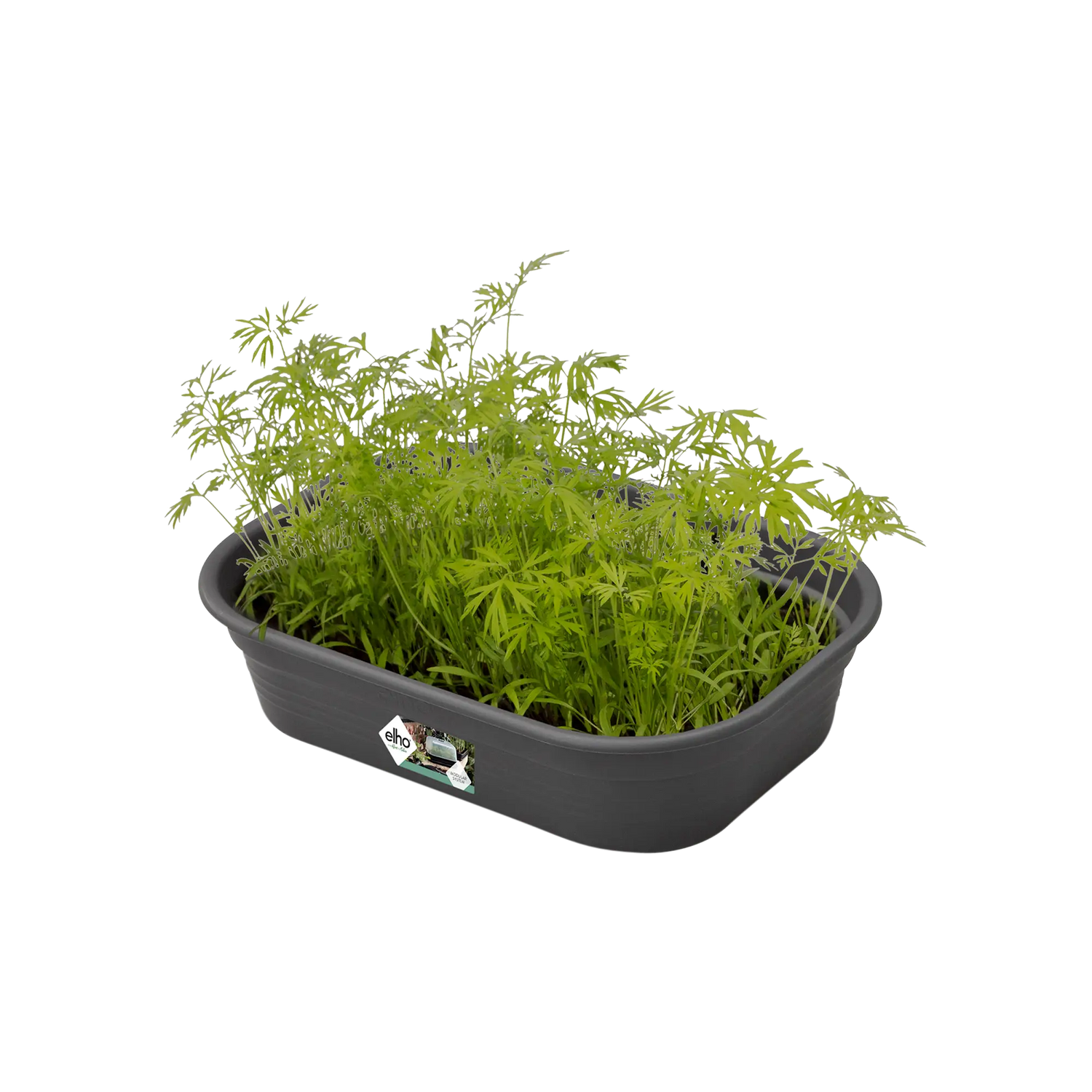 Green Basics Odlingstråg S - Living Black