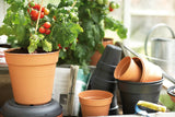 Green Basics Growpot 17cm - Terracotta