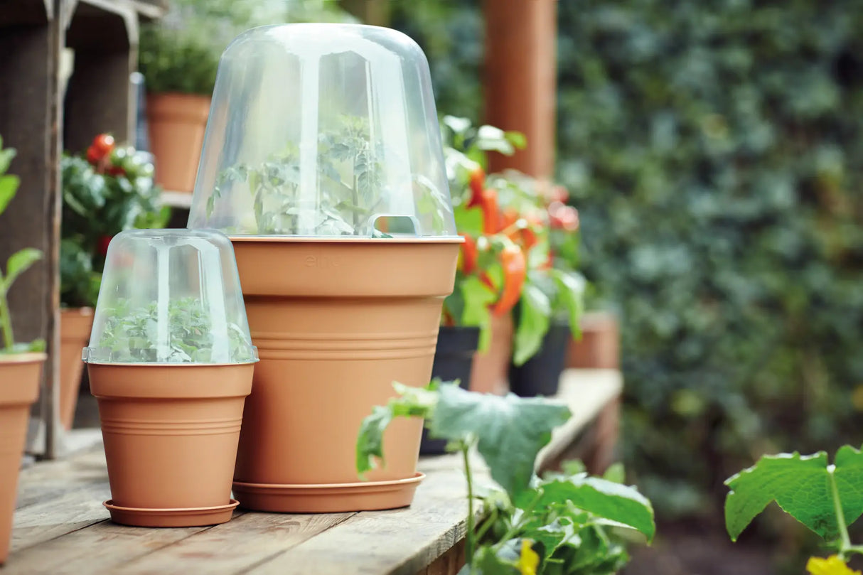 Green Basics Growpot 17cm - Terracotta