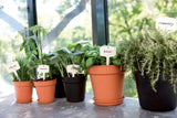 Green Basics Growpot 21cm - Living Black