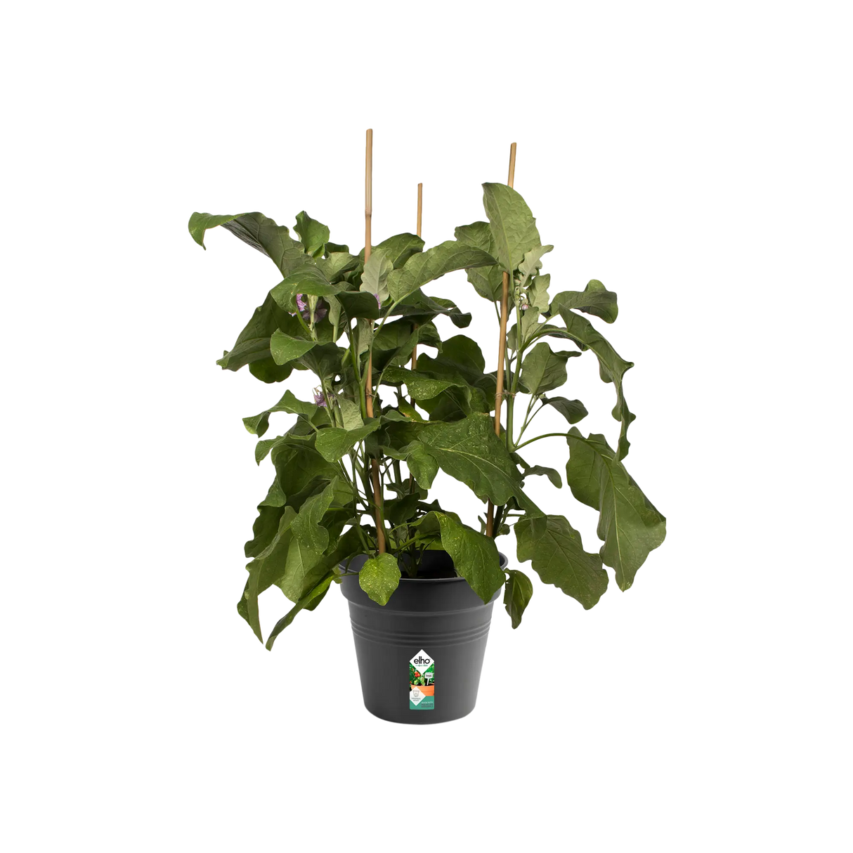 Green Basics Growpot 21cm - Living Black