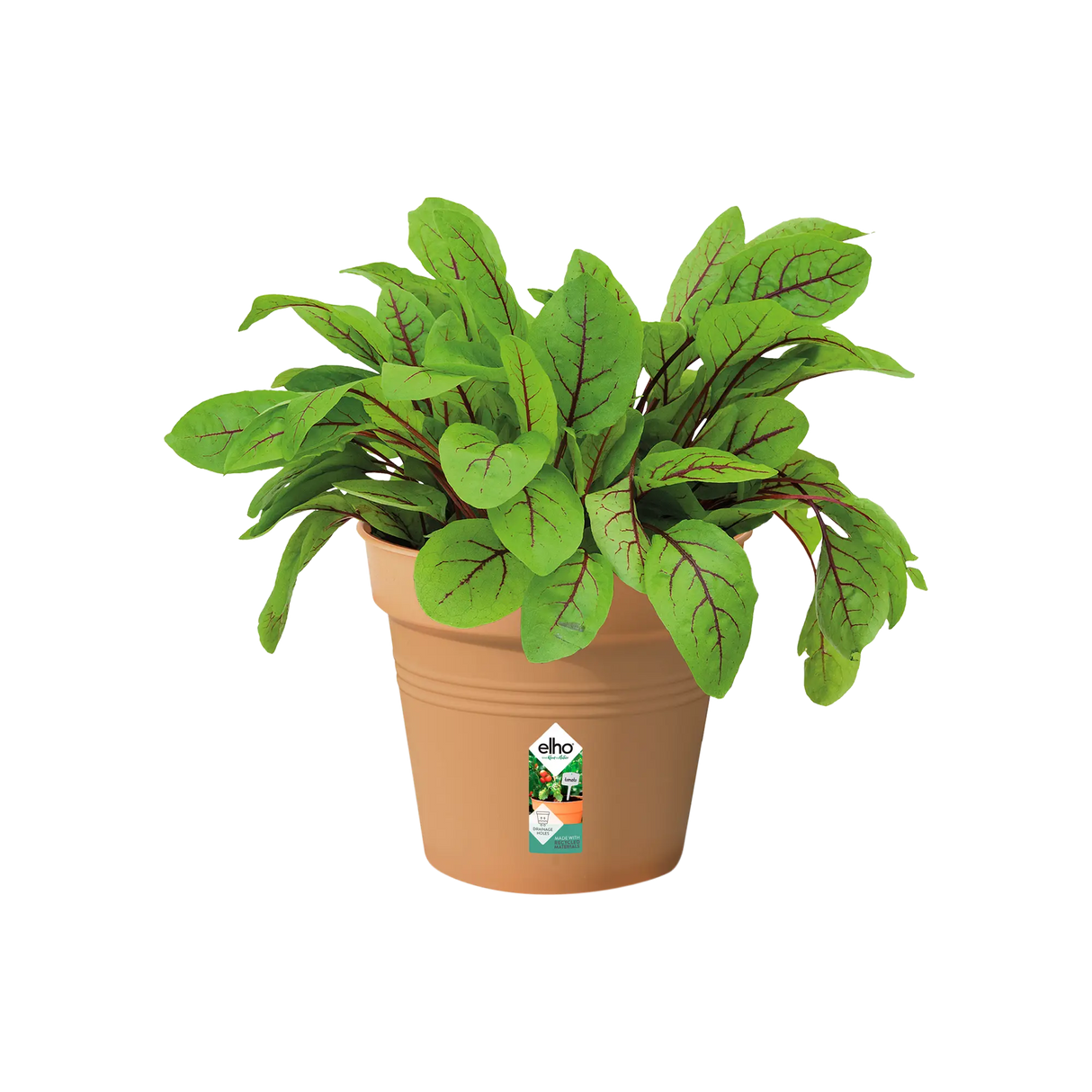 Green Basics Growpot 13cm - Terracotta