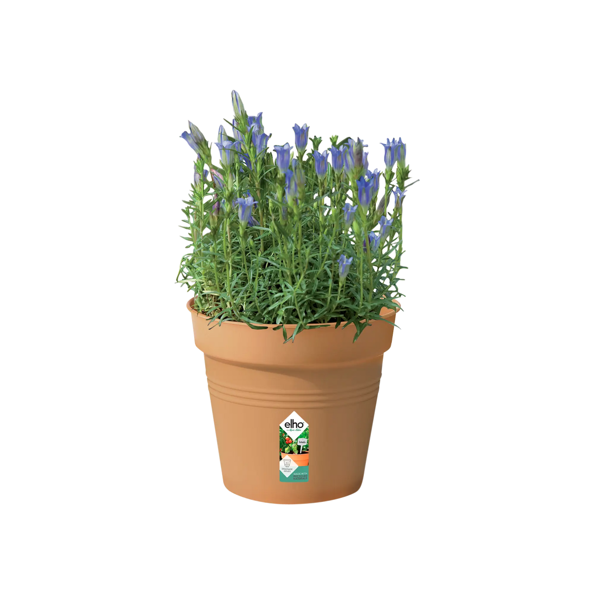 Green Basics Growpot 17cm - Terracotta
