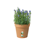 Green Basics Growpot 17cm - Terracotta