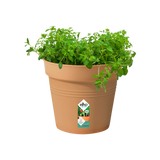 Green Basics Growpot 24cm - Terracotta