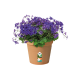 Green Basics Growpot 27cm - Terracotta