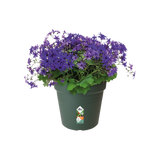 Green Basics Growpot 27cm - Leaf Green