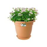Green Basics Fat 34cm - Mild Terra