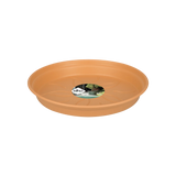 Green Basics Fat 17cm - Mild Terra