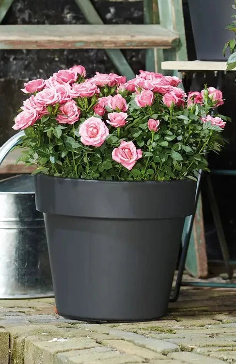 Green Basics Top Planter 40cm - Living Black