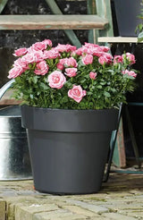 Green Basics Top Planter 40cm - Living Black