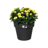 Green Basics Top Planter 40cm - Living Black