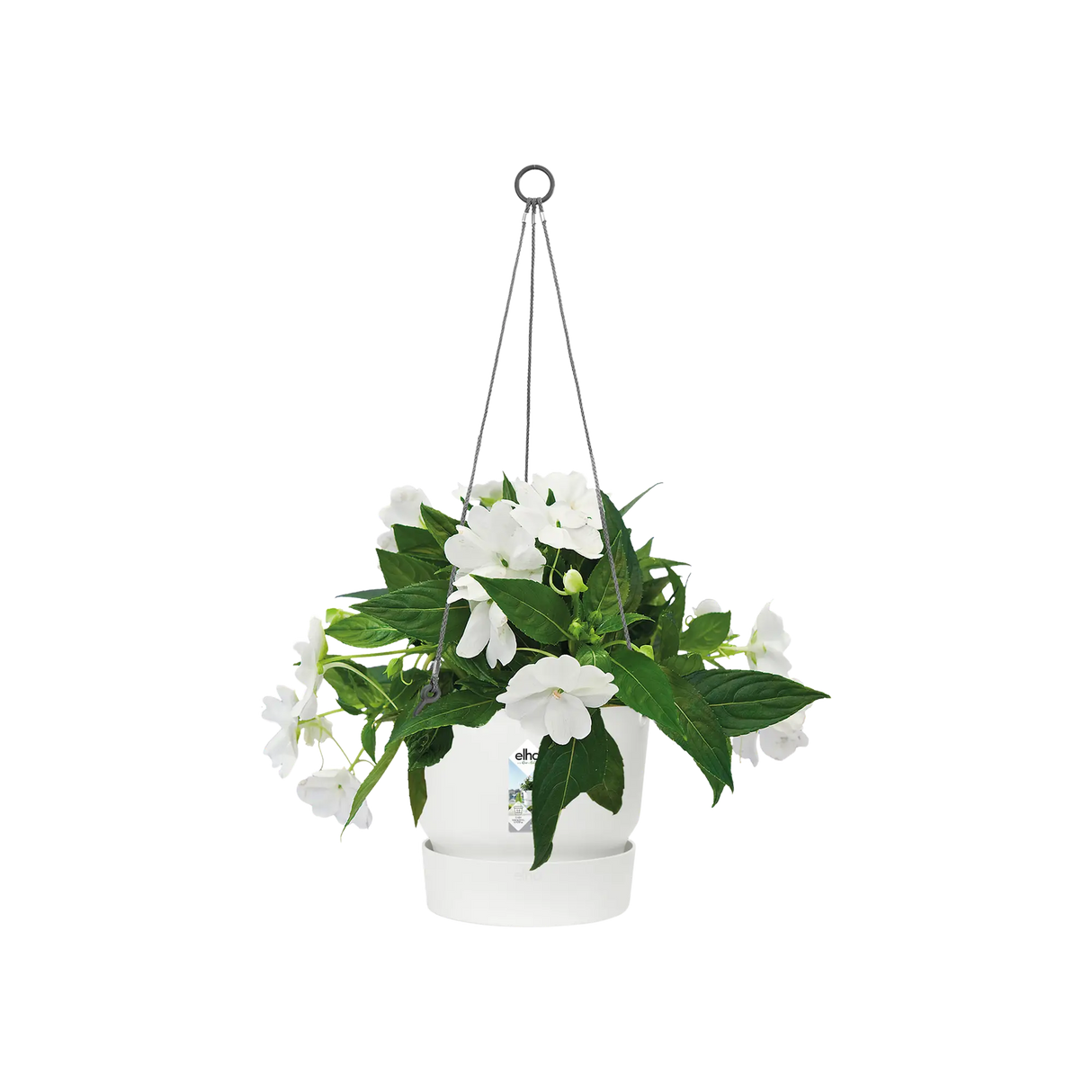 Greenville 'Hanging Basket' 24cm - White