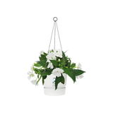 Greenville 'Hanging Basket' 24cm - White