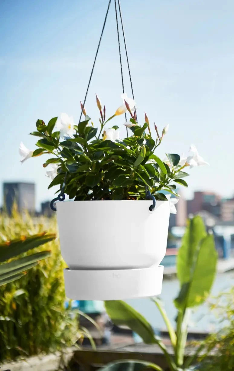 Greenville 'Hanging Basket' 24cm - White