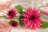 Dahlia mörkrosa 71 cm