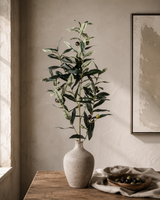 Olive Spray grön 104 cm